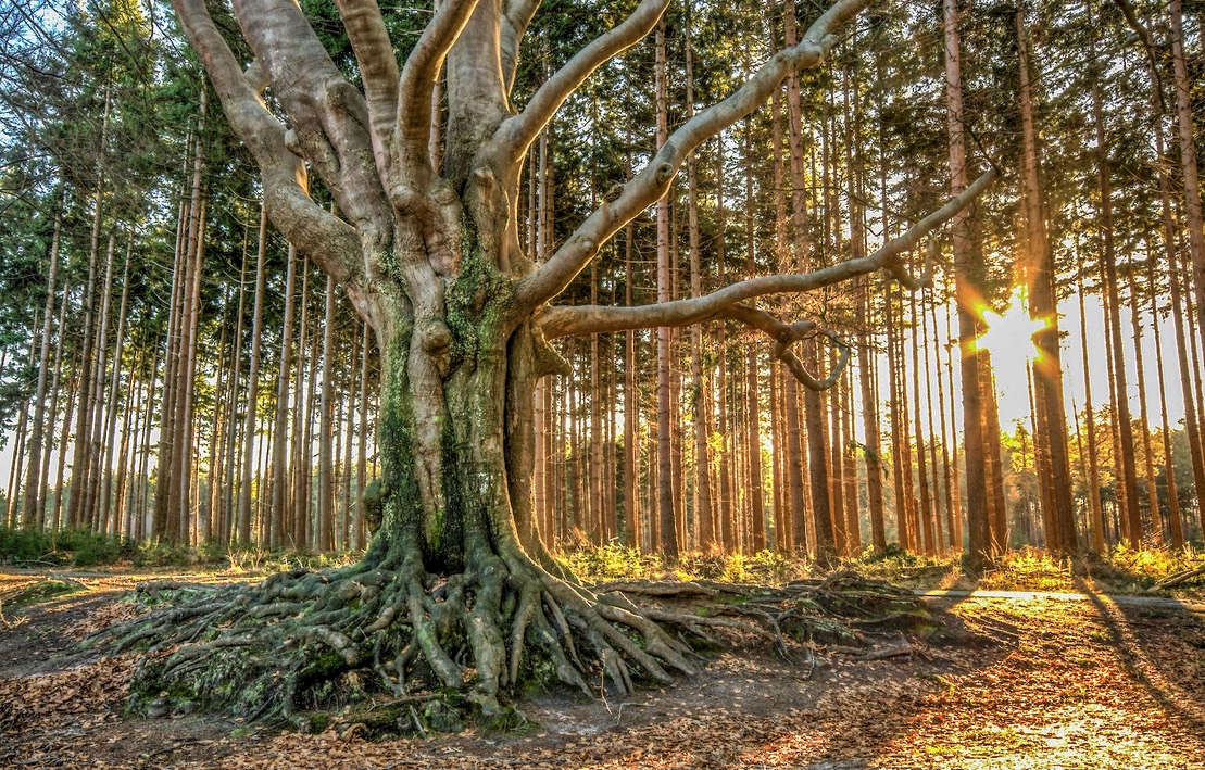 Car Puzzle Route "The Other Friesland"