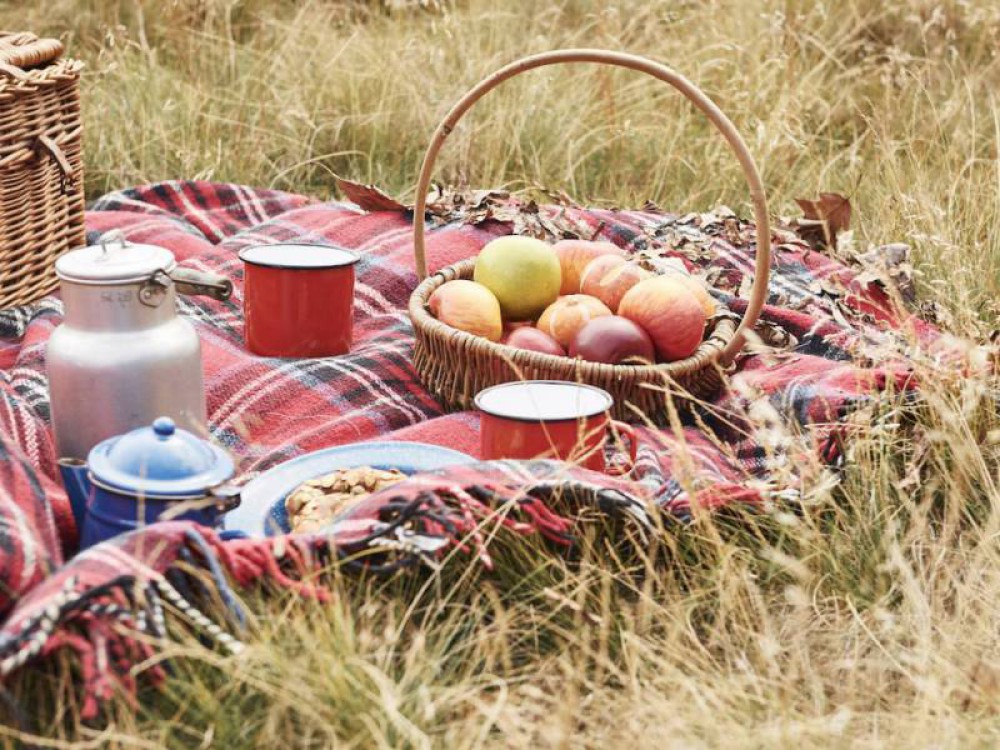 Car-puzzle-route: various packages possible - basic or luxury package