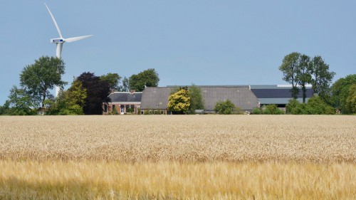 Old Bokum and New Bocum