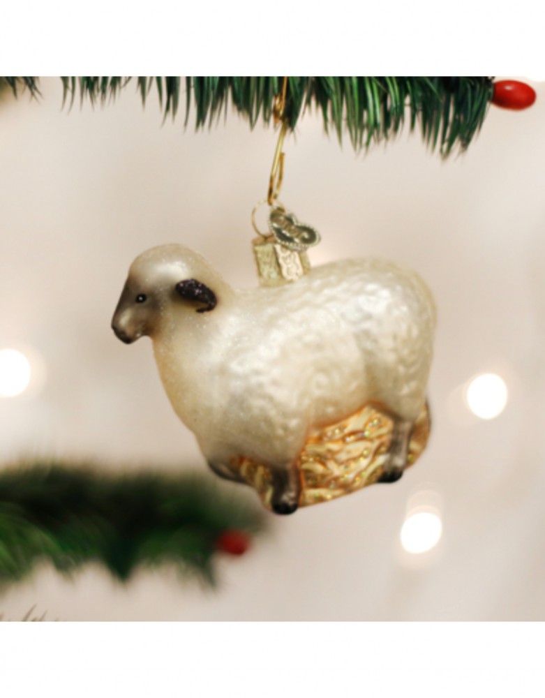 Winter / kerst Special