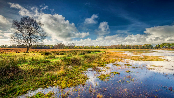 Car Puzzle Tour Zuidelijk Westerkwartier | LocalGroningen.nl